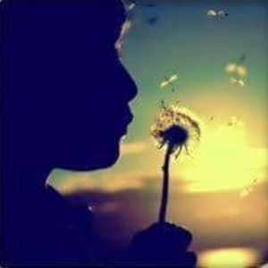 Meet your Posher, Genesis